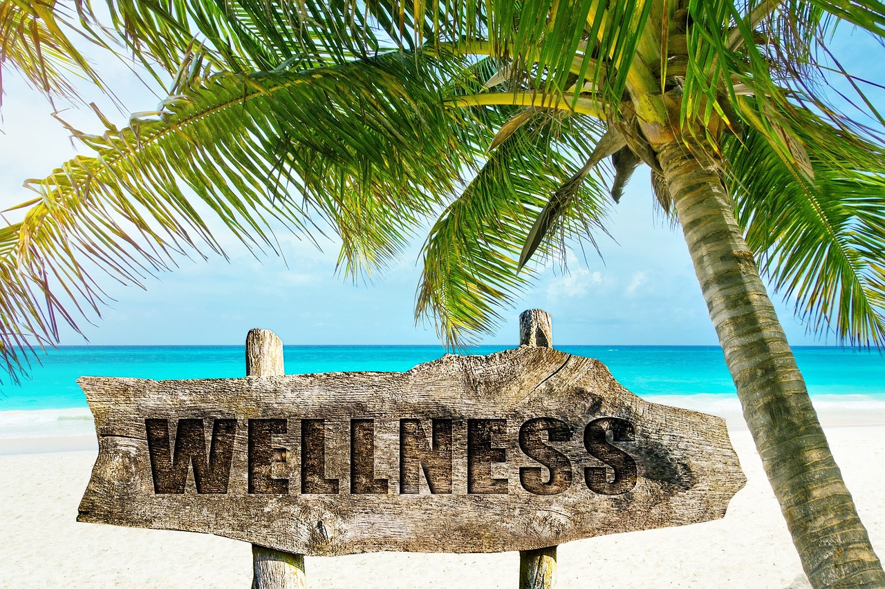 The Rise of Wellness Travel and Health-Conscious Destinations